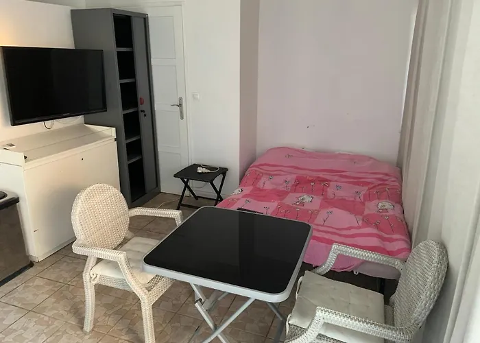Apartament De Bien Etre Avec Piscine Et Jaccuzi A 2 Pas De La Et Du Centre Avec Massages Relaxants En Option *